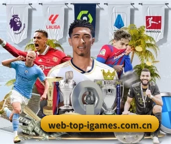 web-top-igames.com.cn APP