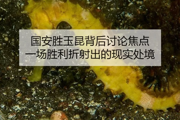 国安胜玉昆背后讨论焦点 一场胜利折射出的现实处境